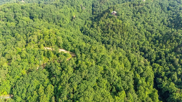 1017 Big Buck Trl, Townsend, TN 37882