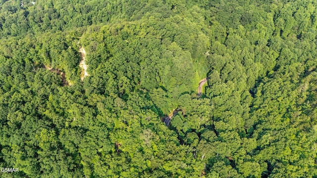1017 Big Buck Trl, Townsend, TN 37882