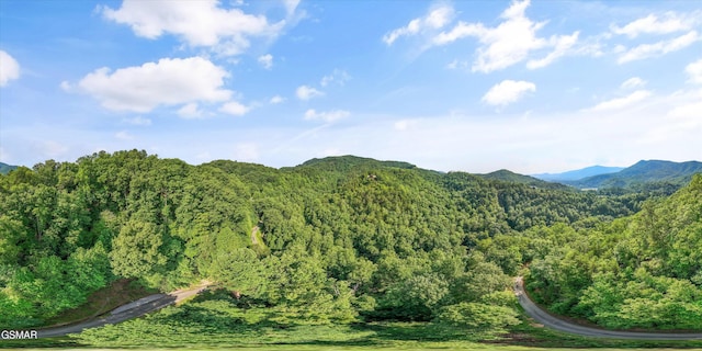 1017 Big Buck Trl, Townsend, TN 37882