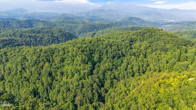 1017 Big Buck Trl, Townsend, TN 37882