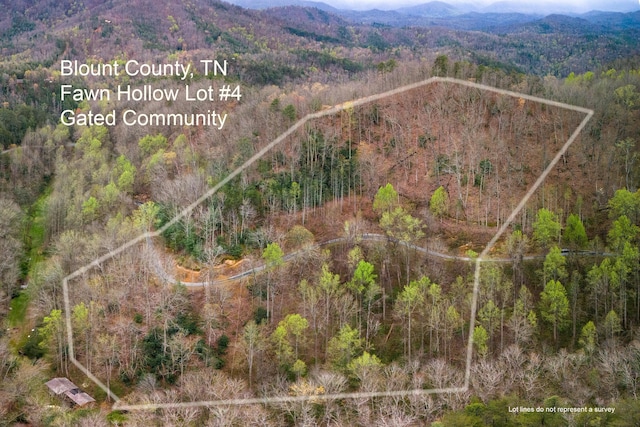 1017 Big Buck Trl, Townsend TN, 37882 land for sale