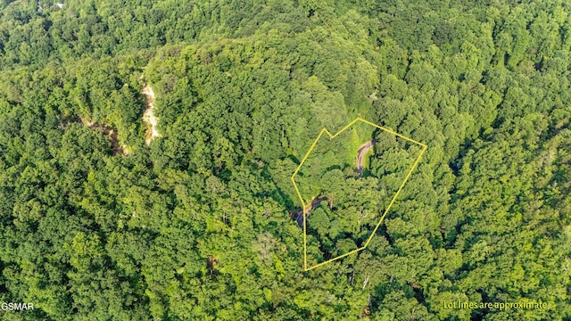1017 Big Buck Trl, Townsend, TN 37882