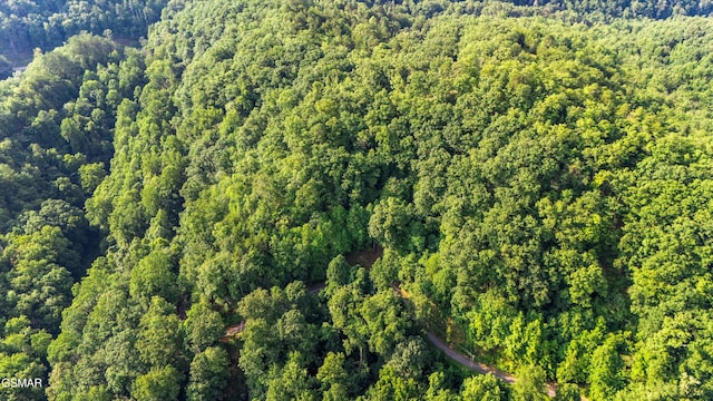 1017 Big Buck Trl, Townsend, TN 37882