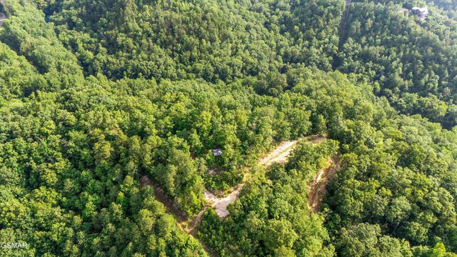 1017 Big Buck Trl, Townsend, TN 37882