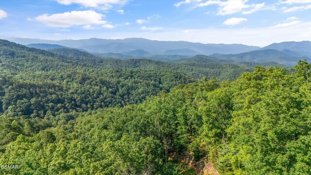 1017 Big Buck Trl, Townsend, TN 37882
