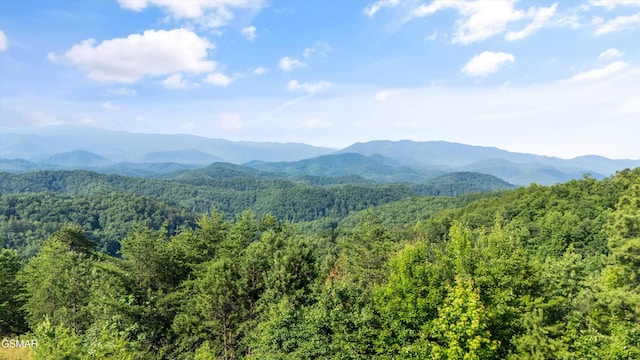 1017 Big Buck Trl, Townsend, TN 37882