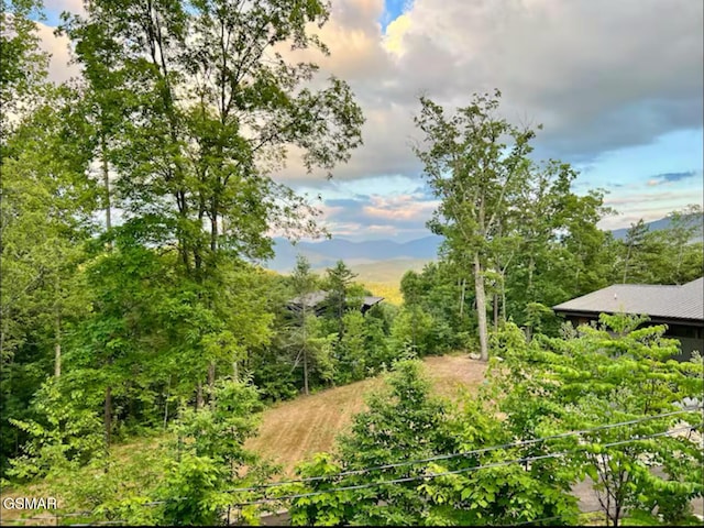 929 Smoky Ct, Gatlinburg, TN 37738 - view of nature
