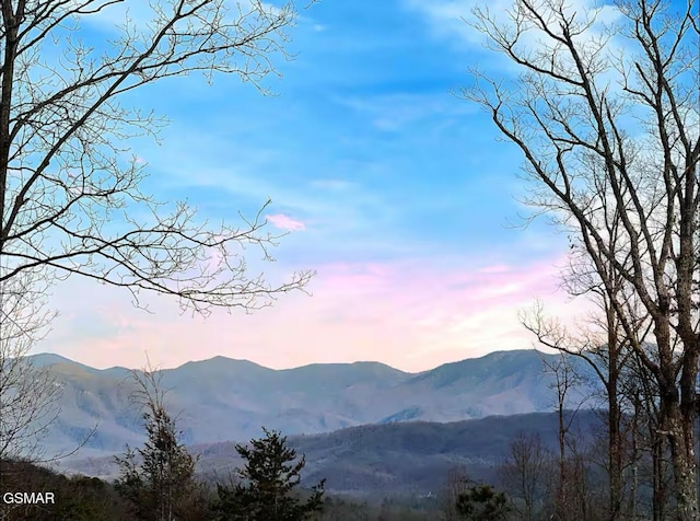 929 Smoky Ct, Gatlinburg, TN 37738 - view of mountain background