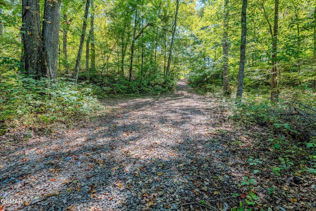 2216 French Broad River Rd, Seymour, TN 37865 - photo 76