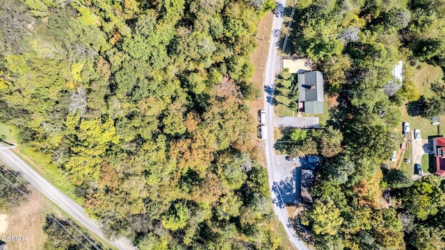 2216 French Broad River Rd, Seymour, TN 37865 - photo 77
