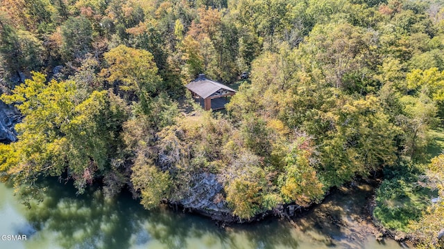 2216 French Broad River Rd, Seymour, TN 37865 - photo 71