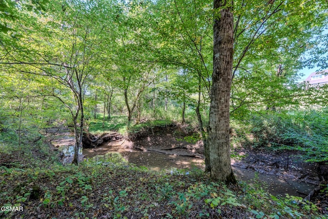 2216 French Broad River Rd, Seymour, TN 37865 - photo 75