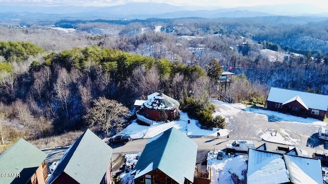 drone / aerial view with a mountain view