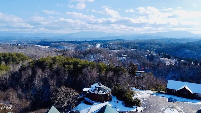 drone / aerial view featuring a mountain view