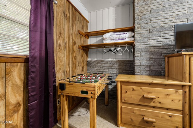 recreation room with carpet flooring and wood walls