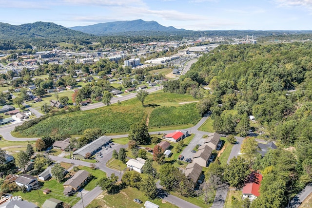 birds eye view of property featuring a mountain view