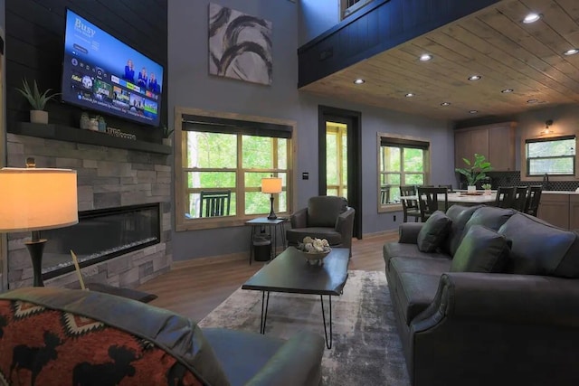 living room with a stone fireplace, light hardwood / wood-style flooring, and a healthy amount of sunlight