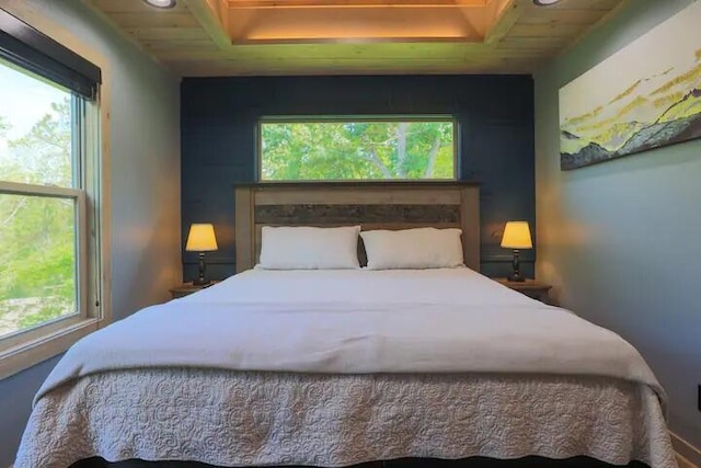 bedroom featuring multiple windows and a raised ceiling