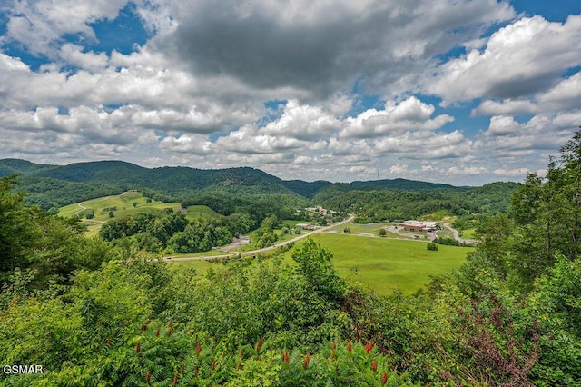 4238 Dollys Dr Unit 106A & B, Sevierville, TN 37876 - photo 35