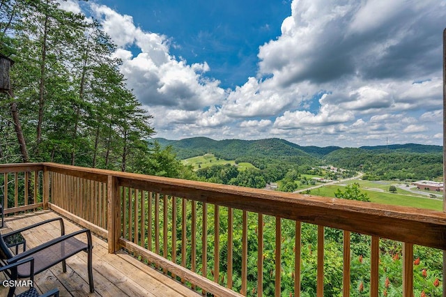 4238 Dollys Dr Unit 106A & B, Sevierville, TN 37876 - photo 62