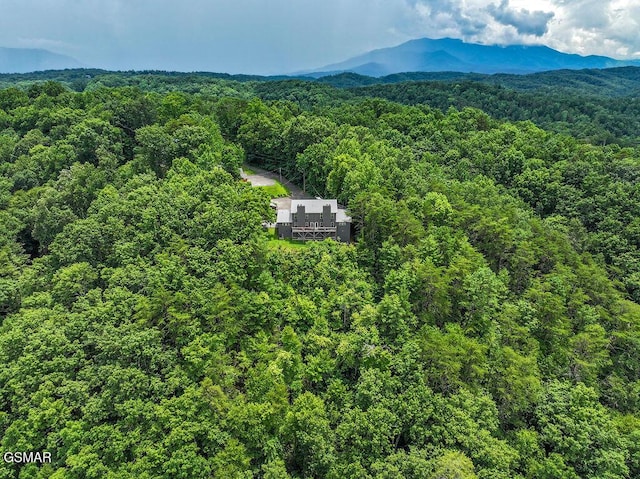 4238 Dollys Dr Unit 106A & B, Sevierville, TN 37876 - photo 65