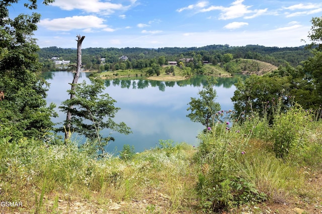 LOT2 Windy Cove Way, Sevierville, TN 37876 - photo 8