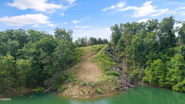 LOT2 Windy Cove Way, Sevierville, TN 37876 - photo 1