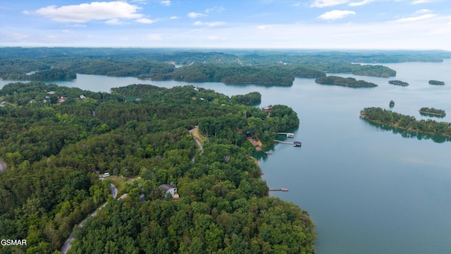 LOT2 Windy Cove Way, Sevierville, TN 37876 - photo 7