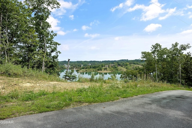 LOT2 Windy Cove Way, Sevierville, TN 37876 - photo 2