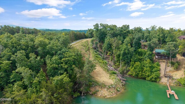 LOT2 Windy Cove Way, Sevierville, TN 37876 - photo 5