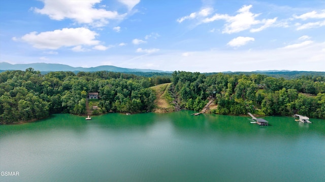 LOT2 Windy Cove Way, Sevierville, TN 37876 - photo 4