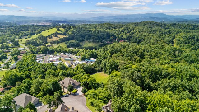 LOT1R Maggie Mack Ln, Sevierville, TN 37862 - photo 12