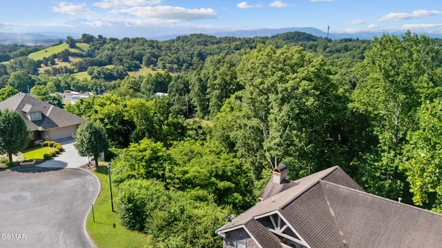 LOT1R Maggie Mack Ln, Sevierville, TN 37862 - photo 8
