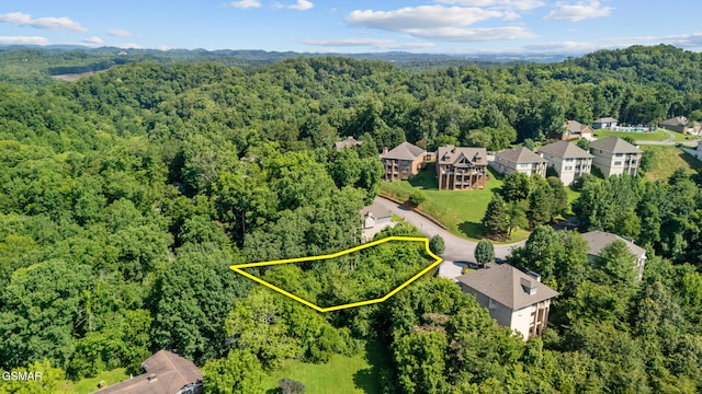 LOT1R Maggie Mack Ln, Sevierville, TN 37862 - photo 1