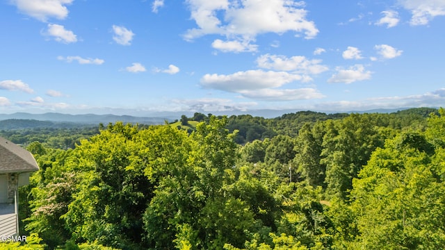 LOT1R Maggie Mack Ln, Sevierville, TN 37862 - photo 14