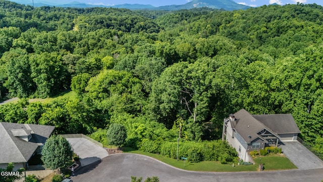 LOT1R Maggie Mack Ln, Sevierville, TN 37862 - photo 9