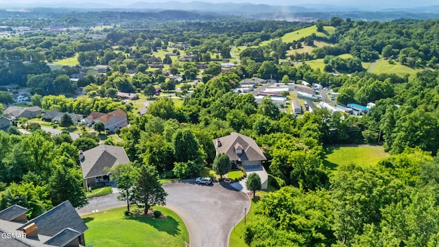 LOT1R Maggie Mack Ln, Sevierville, TN 37862 - photo 3
