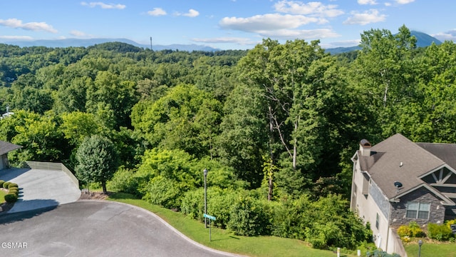 LOT1R Maggie Mack Ln, Sevierville, TN 37862 - photo 6