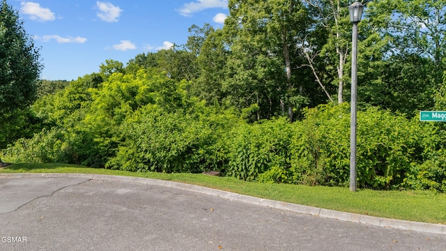 LOT1R Maggie Mack Ln, Sevierville, TN 37862 - photo 4