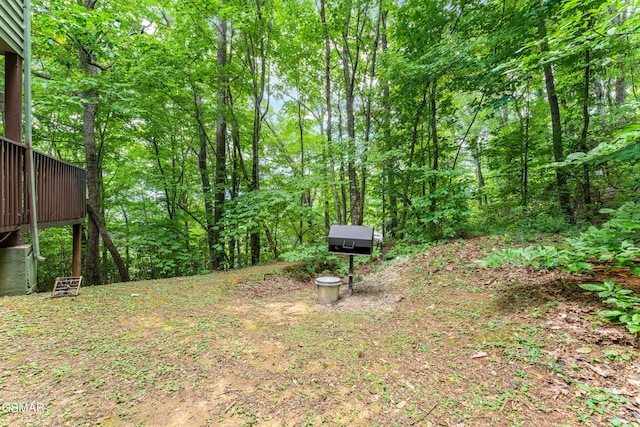 1658 Zurich Rd, Gatlinburg, TN 37738 - photo 51