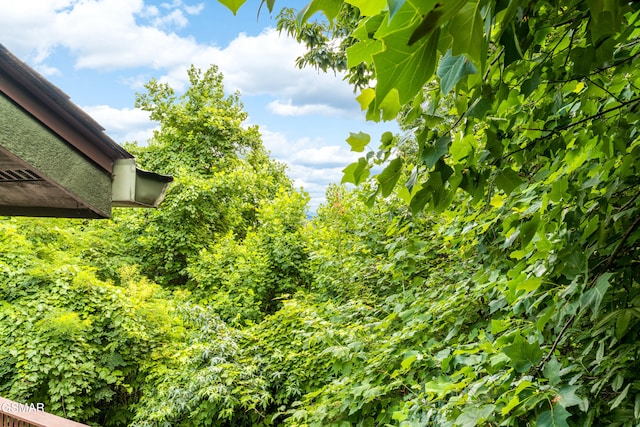 1658 Zurich Rd, Gatlinburg, TN 37738 - photo 53