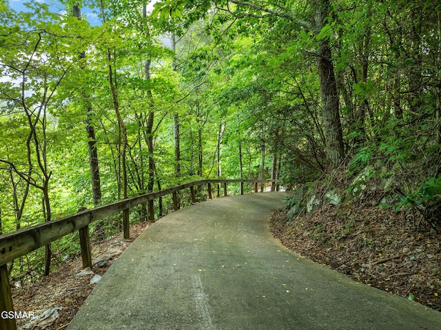 1658 Zurich Rd, Gatlinburg, TN 37738 - photo 45