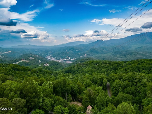 1658 Zurich Rd, Gatlinburg, TN 37738 - photo 59