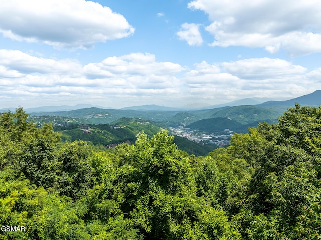 1658 Zurich Rd, Gatlinburg, TN 37738 - photo 54