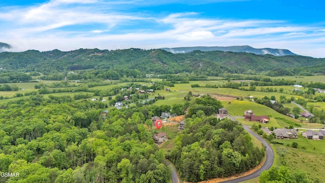 aerial view of mountains