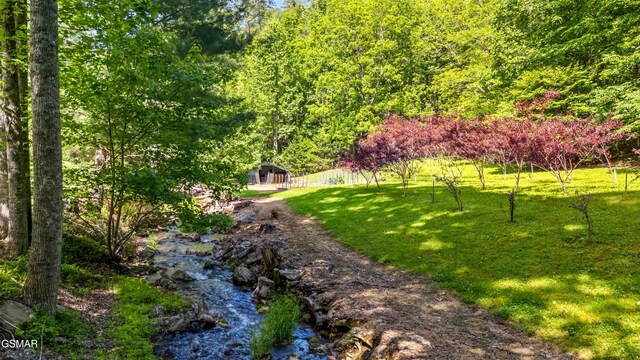 1878 Omaha Rd, Del Rio, TN 37727 - surrounding community with a yard and a wooded view