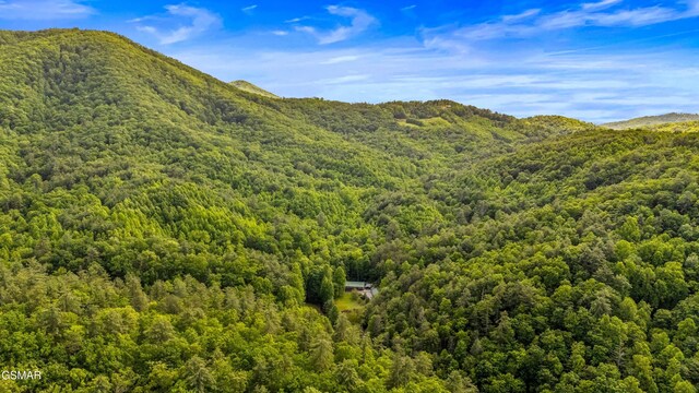 1878 Omaha Rd, Del Rio, TN 37727 - mountain view with a heavily wooded area