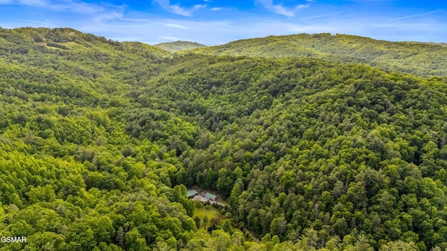 1878 Omaha Rd, Del Rio, TN 37727 - mountain view with a heavily wooded area