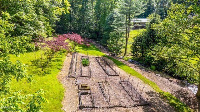 1878 Omaha Rd, Del Rio, TN 37727 - view of yard featuring a garden