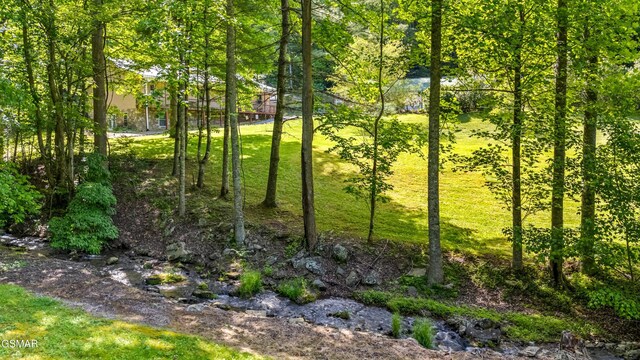 1878 Omaha Rd, Del Rio, TN 37727 - view of undeveloped land